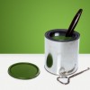 green-paint-caniStock_000002969194Small-e1309403477851