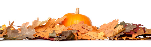 Post image for Fall Into Health with Clean Air Sweepstakes!
