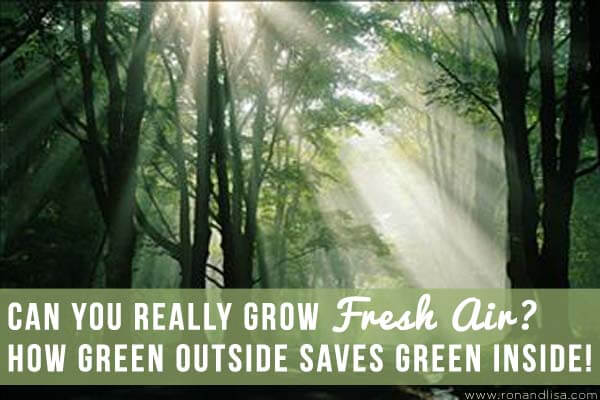 Can You Really Grow Fresh Air How Green Outside Saves Green Inside copy