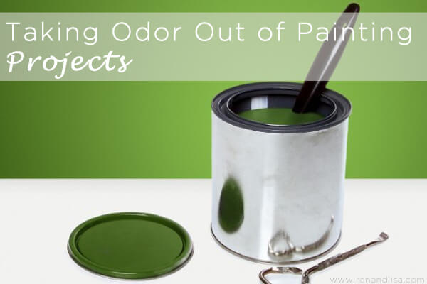 Taking Odor Out Of Painting Projects Copy