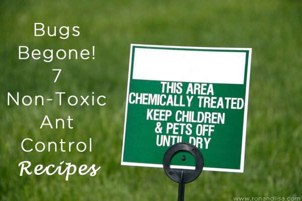 Bugs Begone! 7 Non-Toxic Ant Control Recipes copy