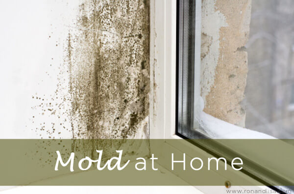 Mold At Home