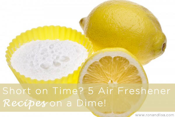 Short On Time 5 Air Freshener Recipes On A Dime