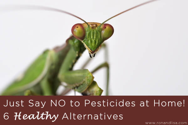 Just Say No To Pesticides At Home! 6 Healthy Alternatives