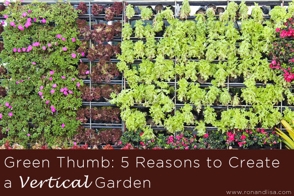 Green Thumb-5 Reasons To Create A Vertical Garden Copy