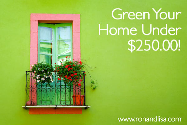 Green Your Home For Under $250