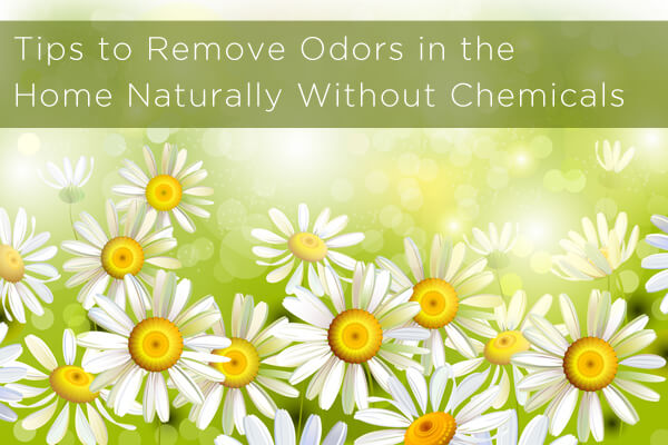 Remove Odors