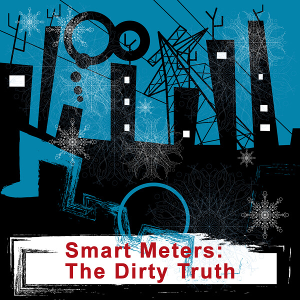 Smart Meters