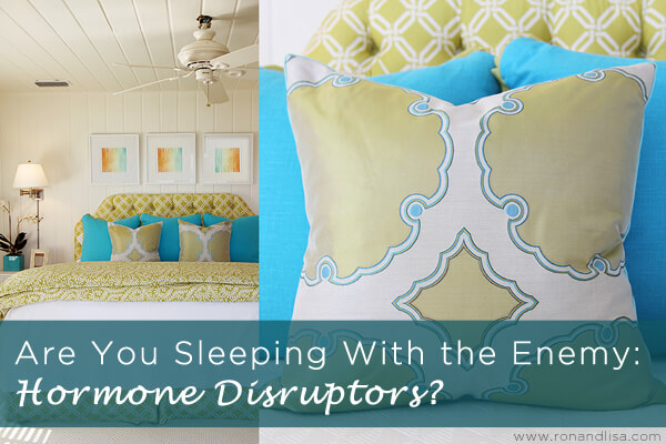 Are You Sleeping With the Enemy - Hormone Disruptors