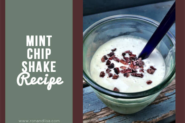 Mint Chip Shake Recipe