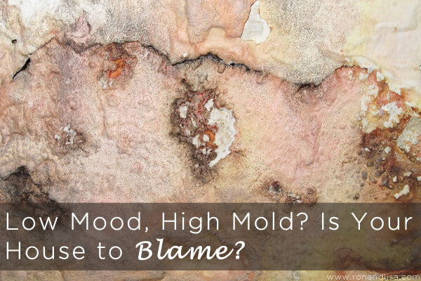 Low Mood, High Mold? Is Your House To Blame?