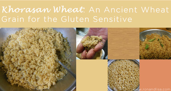 Khorasan Wheat: An Ancient Wheat Grain For The Gluten Sensitive