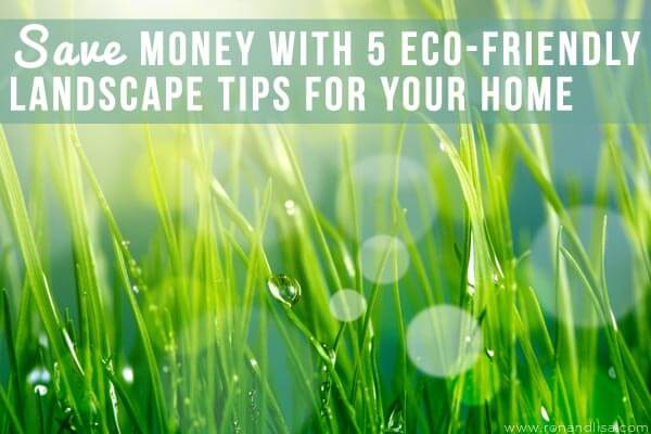 Save Money With 5 Eco-Friendly Landscape Tips For Your Home R2 Copy