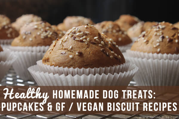 Healthy Homemade Dog Treats: Pupcakes & GF / Vegan Biscuit Recipes