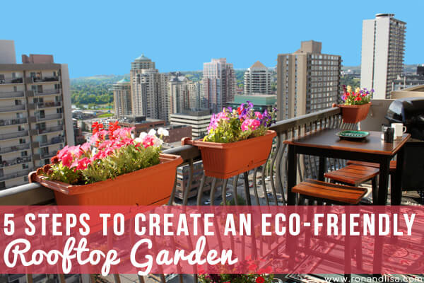 5 Steps To Create An Eco-Friendly Rooftop Garden