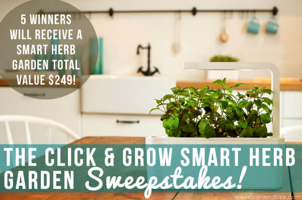 click & grow garden sweeps copy