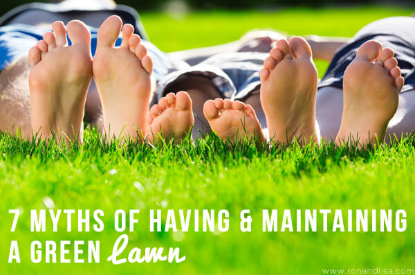 7 Myths Of Having &Amp; Maintaining A Green Lawn