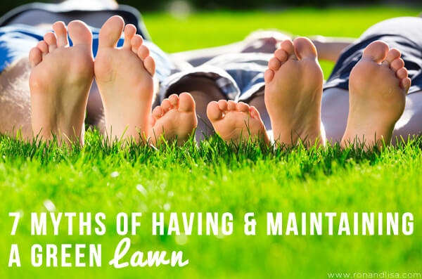 7 MYTHS of Having & Maintaining a Green Lawn