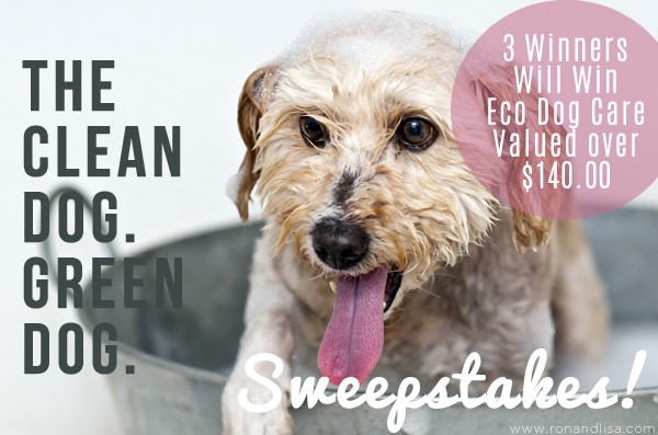 The clean dog green dog sweepstakes