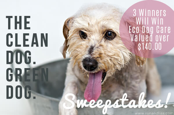 The Clean Dog Green Dog Sweepstakes