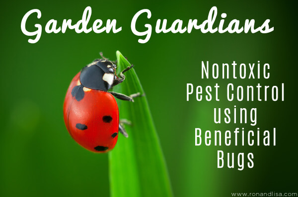 Garden Guardians: Nontoxic Pest Control using Beneficial Bugs