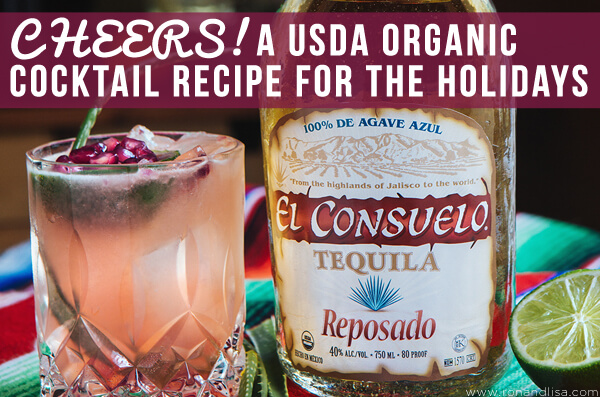 Cheers! A Usda Organic Cocktail Recipe For The Holidays