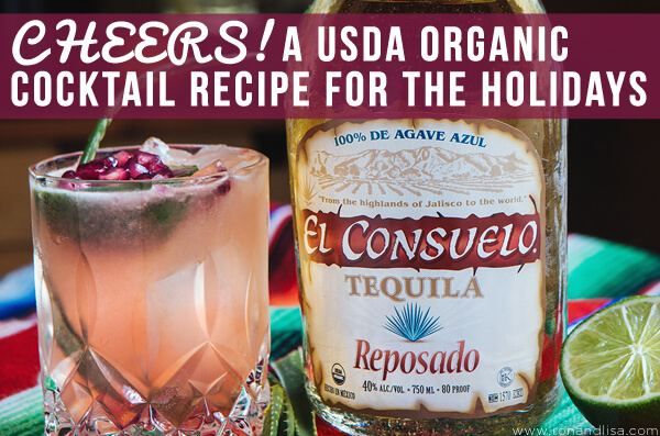 CHEERS! A USDA Organic Cocktail Recipe for the Holidays