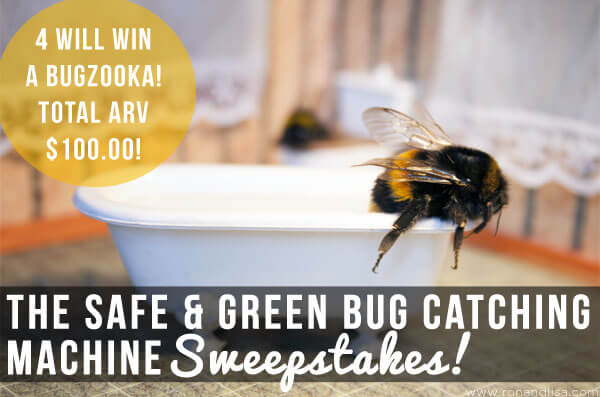 The Safe & Green Bug Catching Machine Sweepstakes!