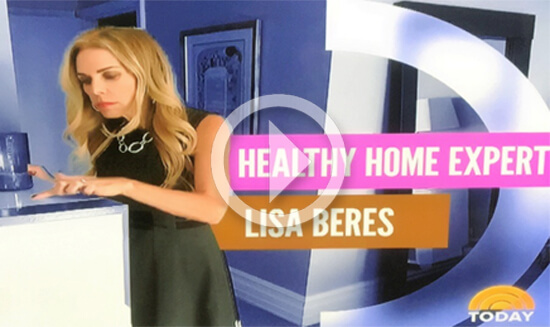 Lisa’s Tips on TODAY to Ban Dust (Before it Makes You Sick)!