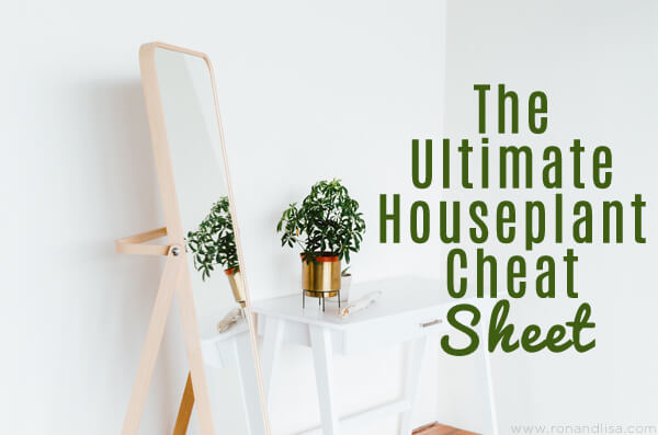 The Ultimate Houseplant Cheat Sheet