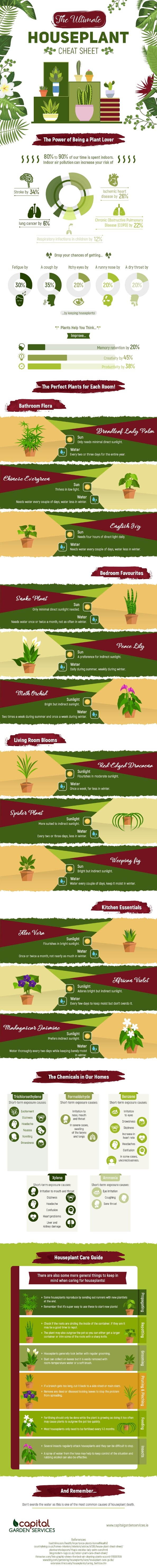 The Ultimate Houseplant Cheat Sheet