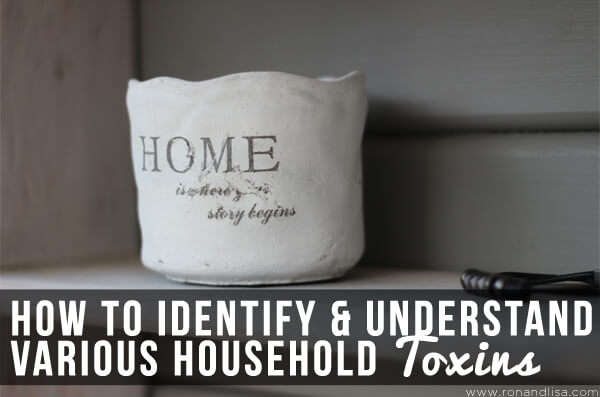 How to Identify & Understand Various Household Toxins