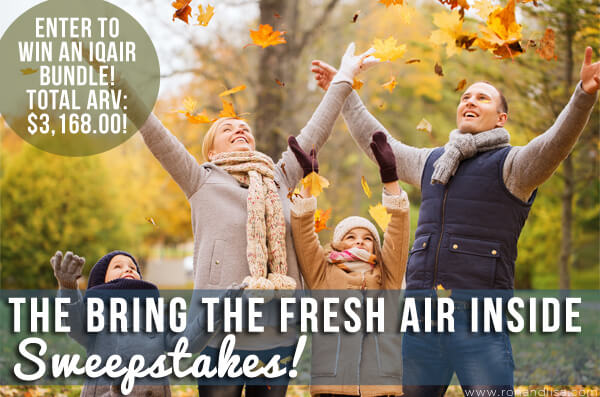 The Bring the Fresh Air Inside Sweepstakes!