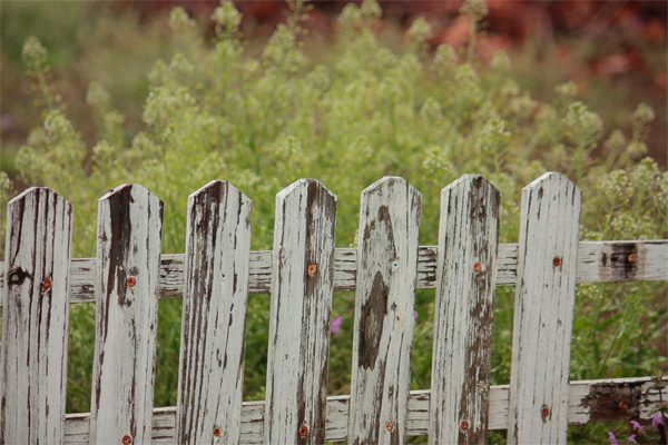 5 Home Fencing Options for Your Yard