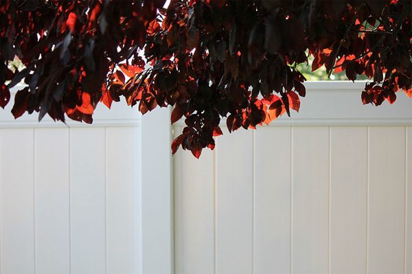 5 Home Fencing Options For Your Yard