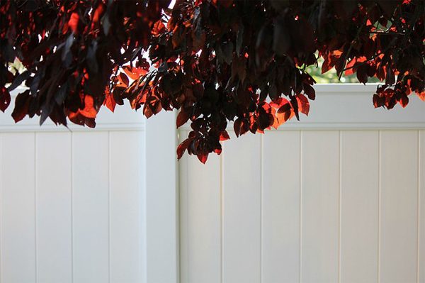 5 Home Fencing Options for Your Yard