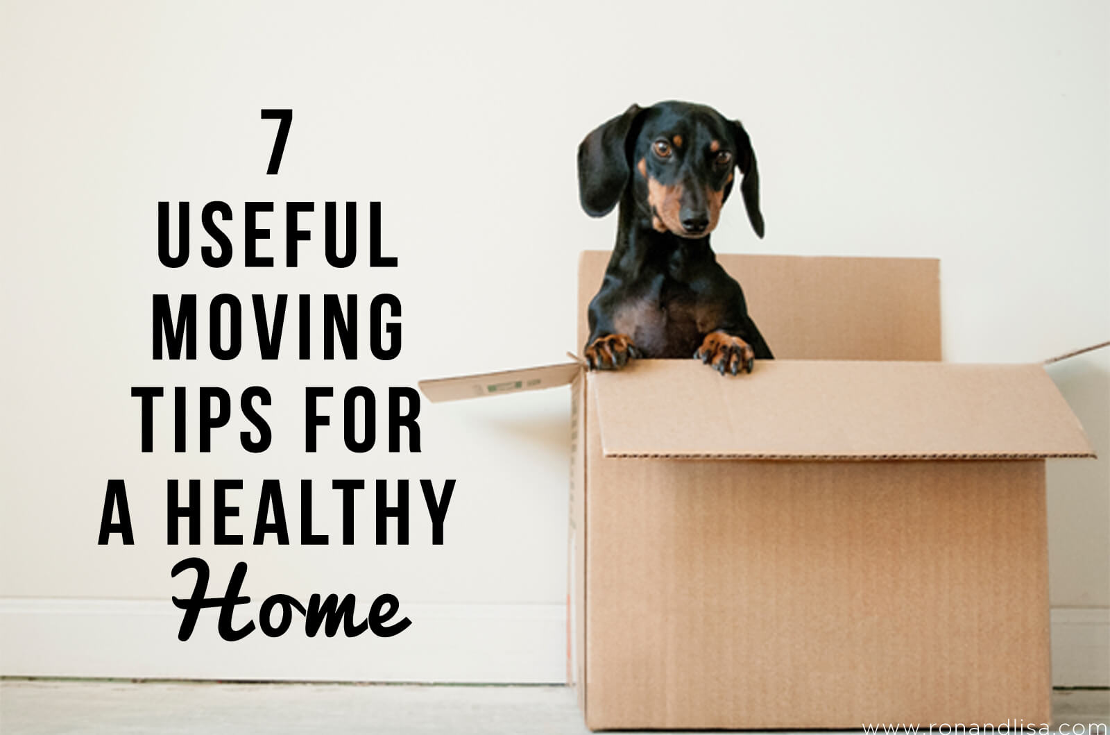 7 Useful Moving Tips for a Healthy Home