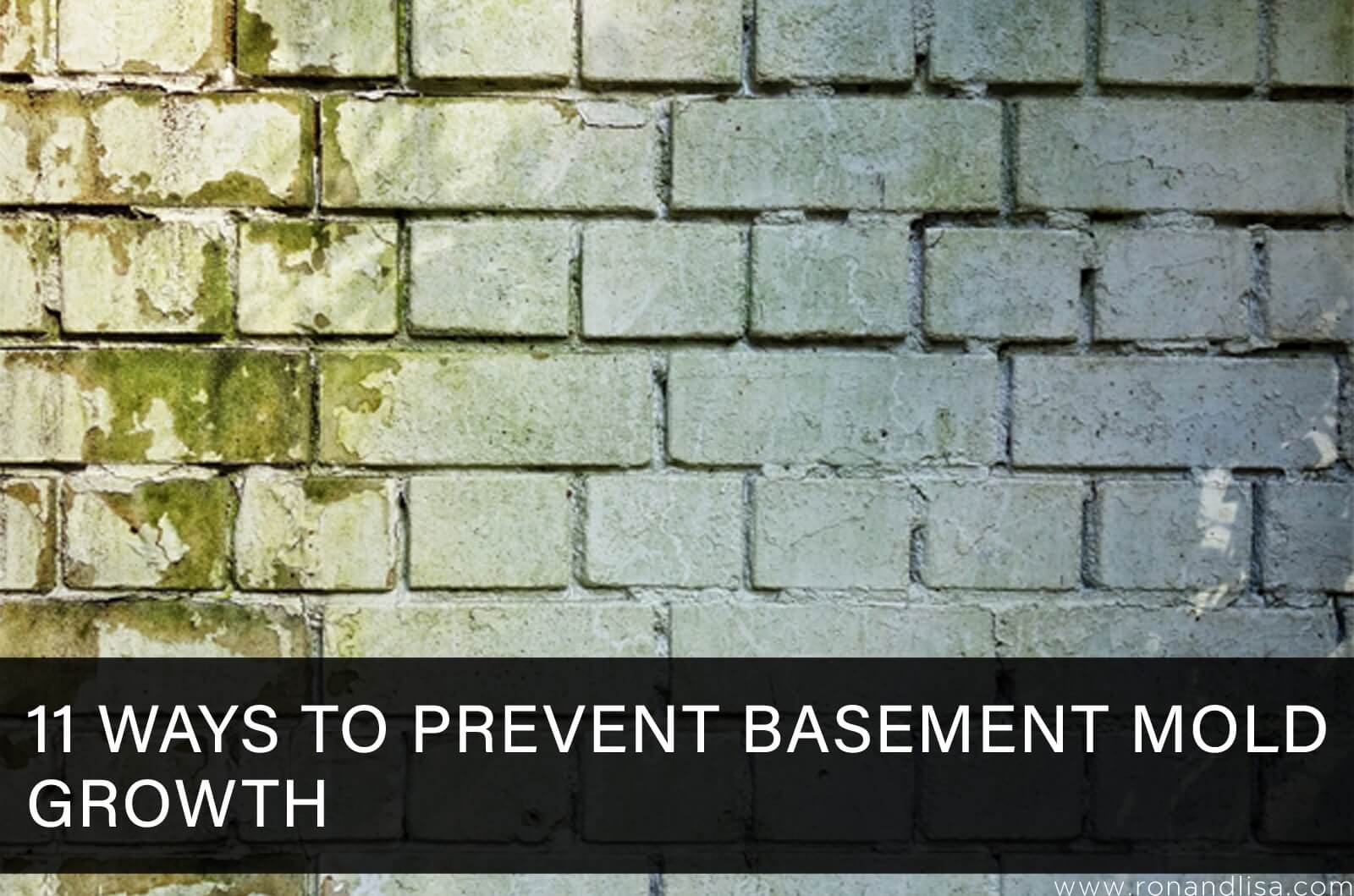 11 Ways To Prevent Basement Mold Growth