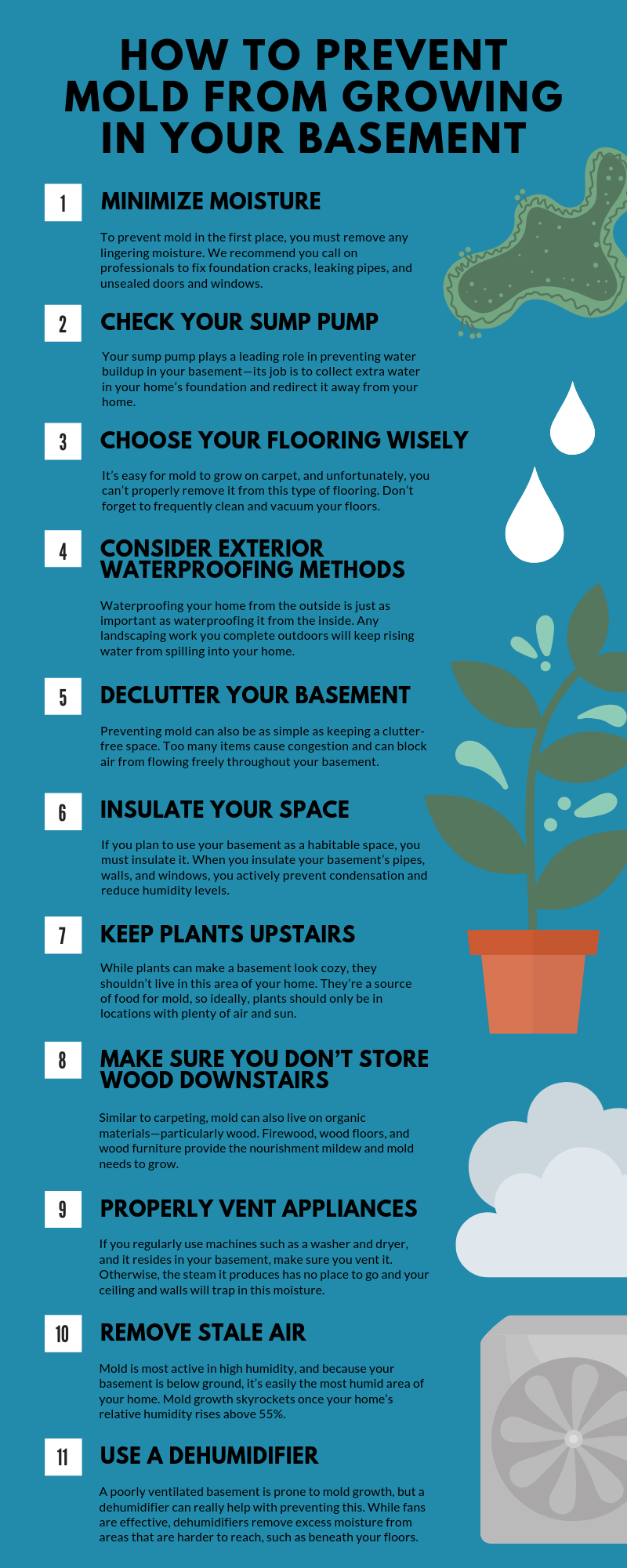 8 Ways to Prevent Mold from Growning in Your Basement