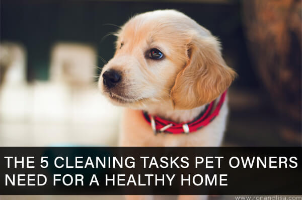 The 5 Cleaning Tasks Pet Owners Need for a Healthy Home