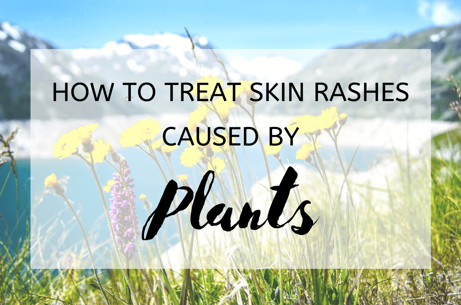 How To Treat Skin Rashes Caused By Plants