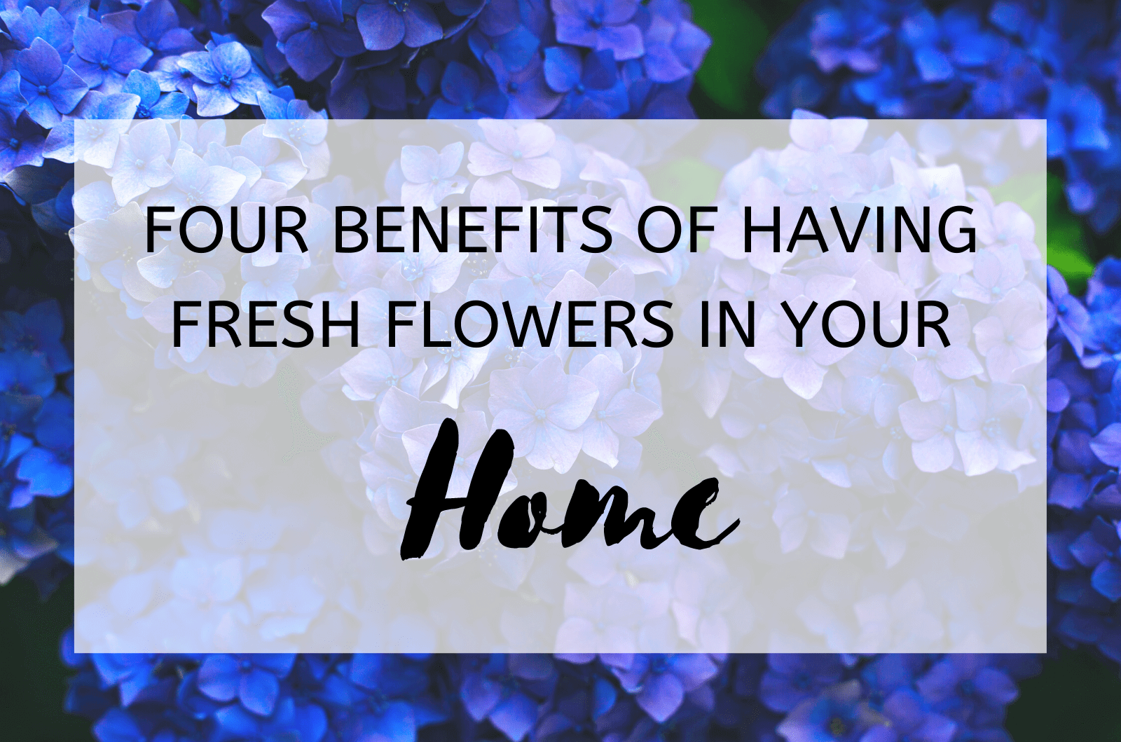 Four Benefits Of Having Fresh Flowers In Your Home