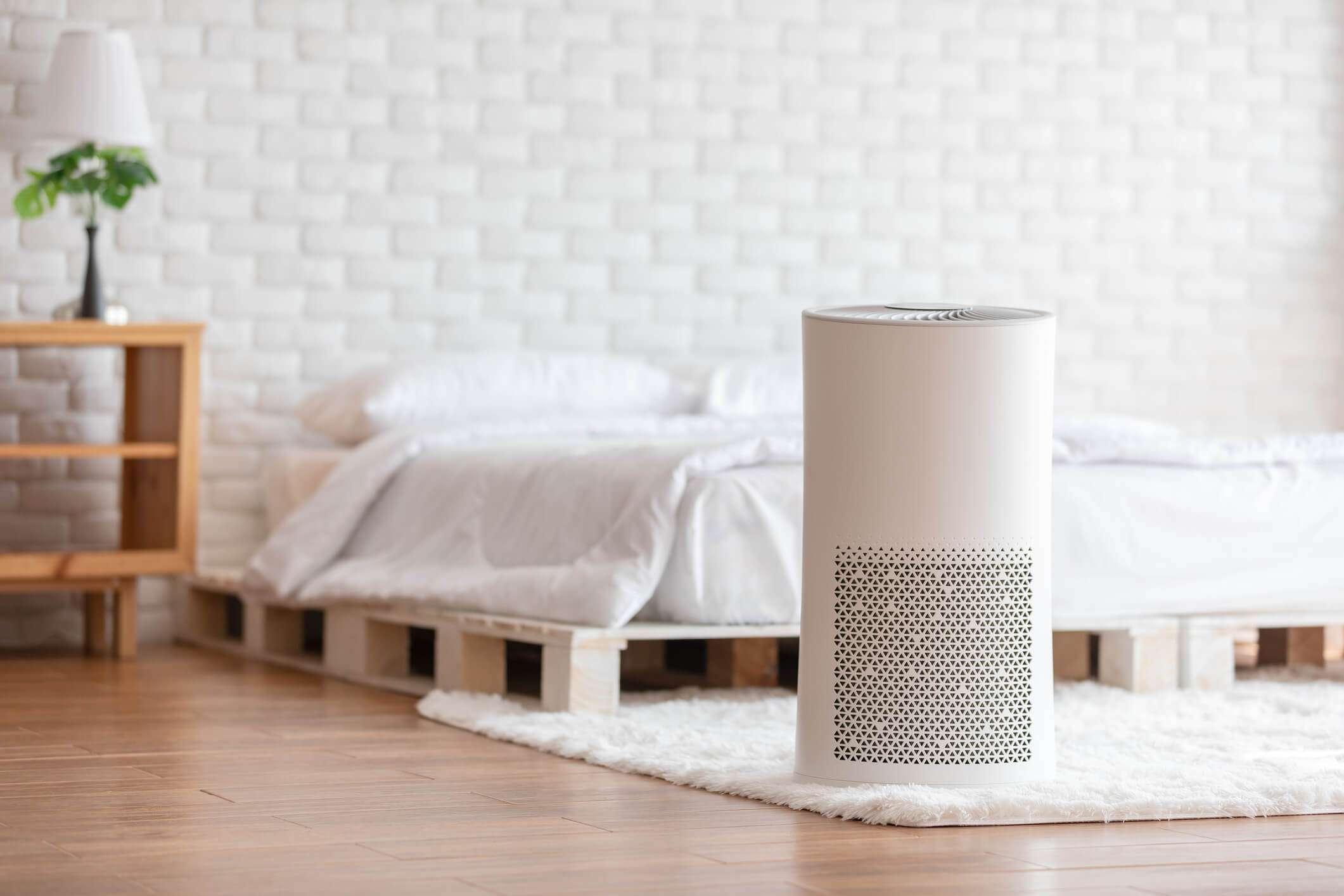 Where Is The Best Place To Put Your Air Purifier?