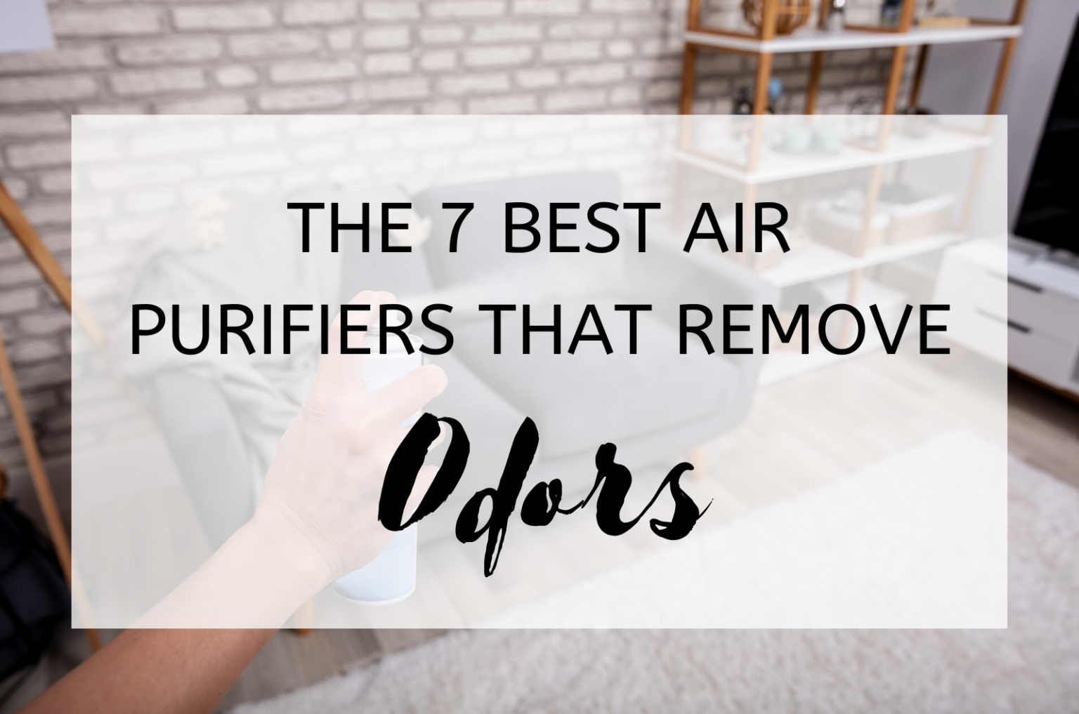 The 7 Best Air Purifiers That Remove Odors 2024