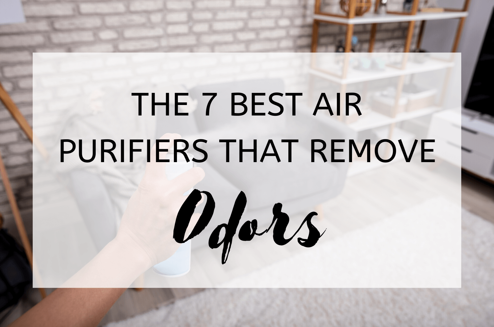 The 7 Best Air Purifiers That Remove Odors