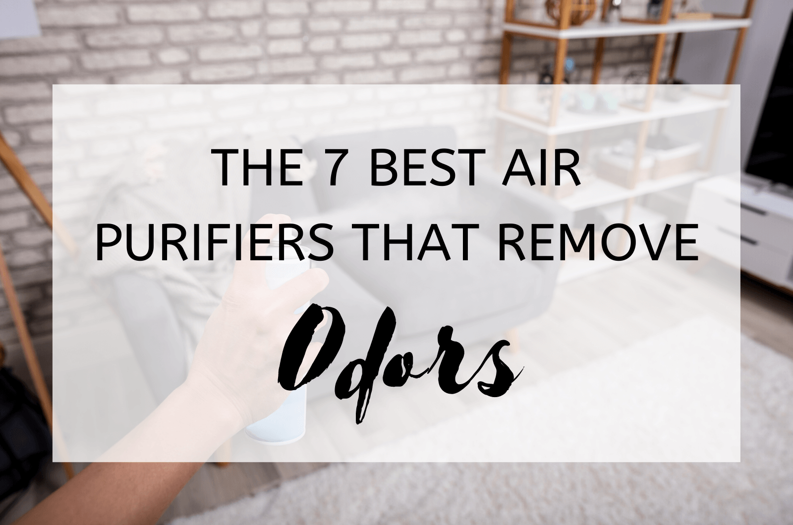 The 7 Best Air Purifiers that Remove Odors