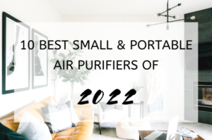 10 Best Small & Portable Air Purifiers Of 2022