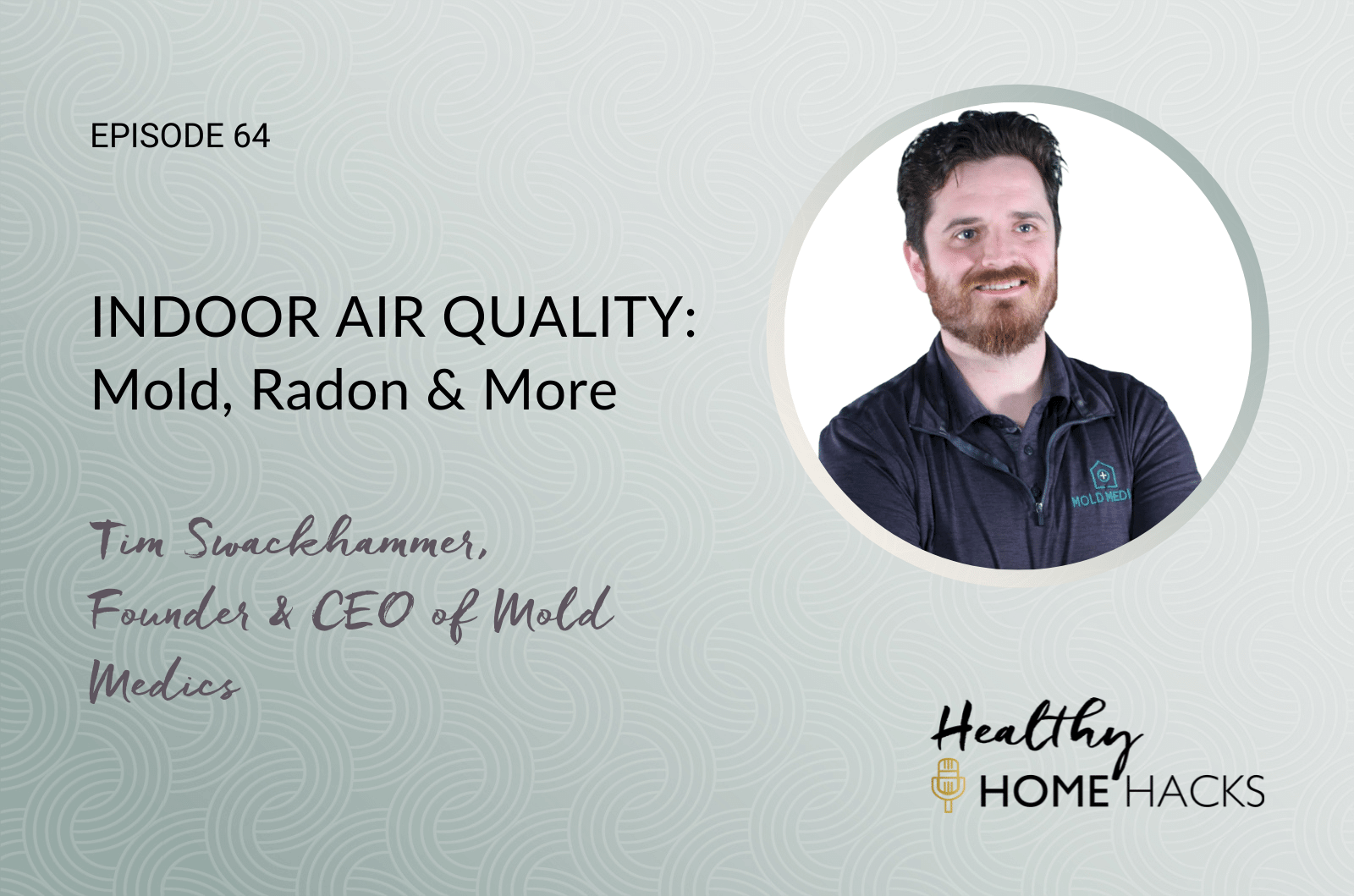 Indoor Air Quality: Mold, Radon &Amp; More