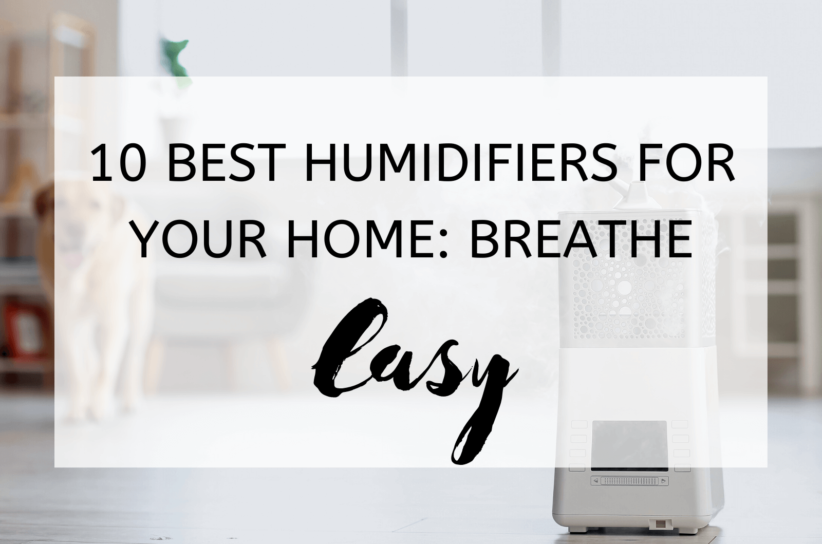 Combat dry air with these simple tricks! From the soothing hum of