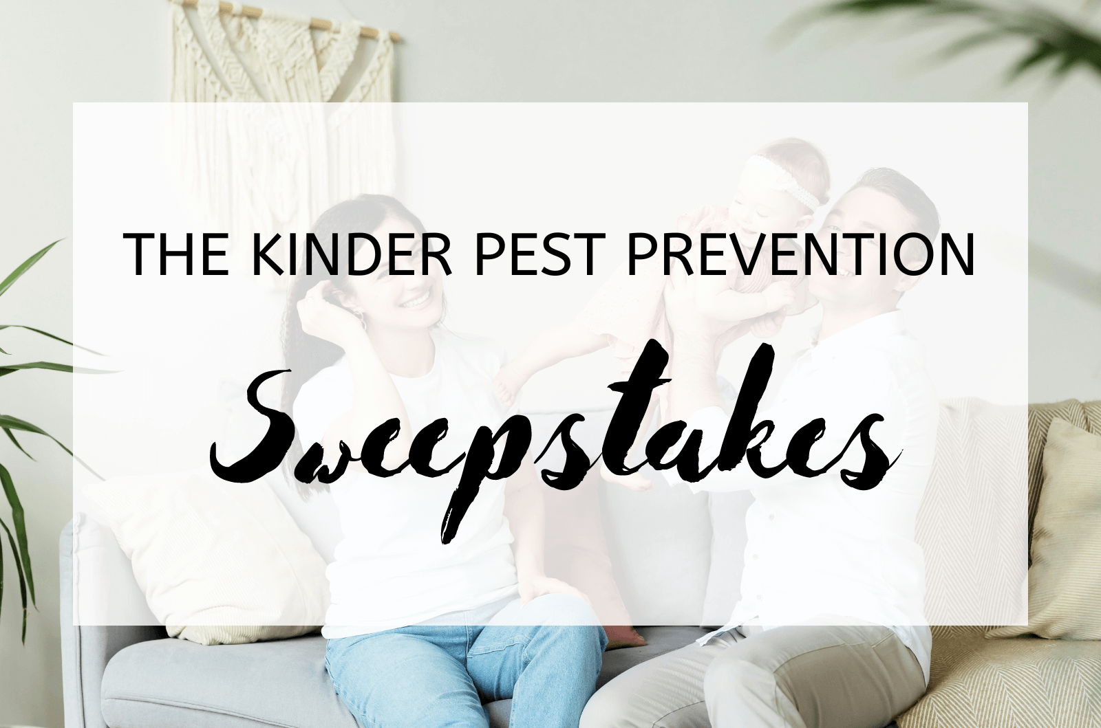 The Kinder Pest Prevention Sweepstakes